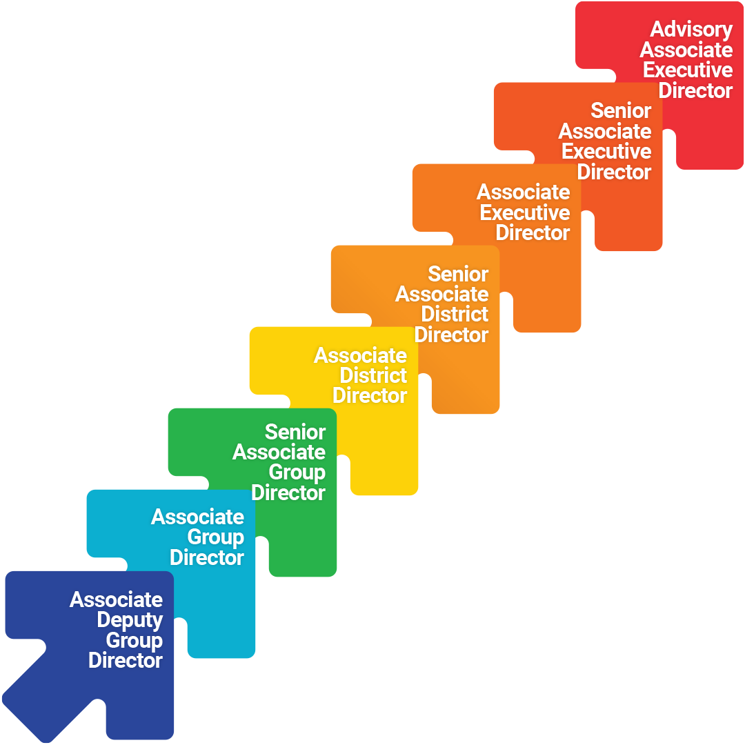 Career Progression Leadership Path