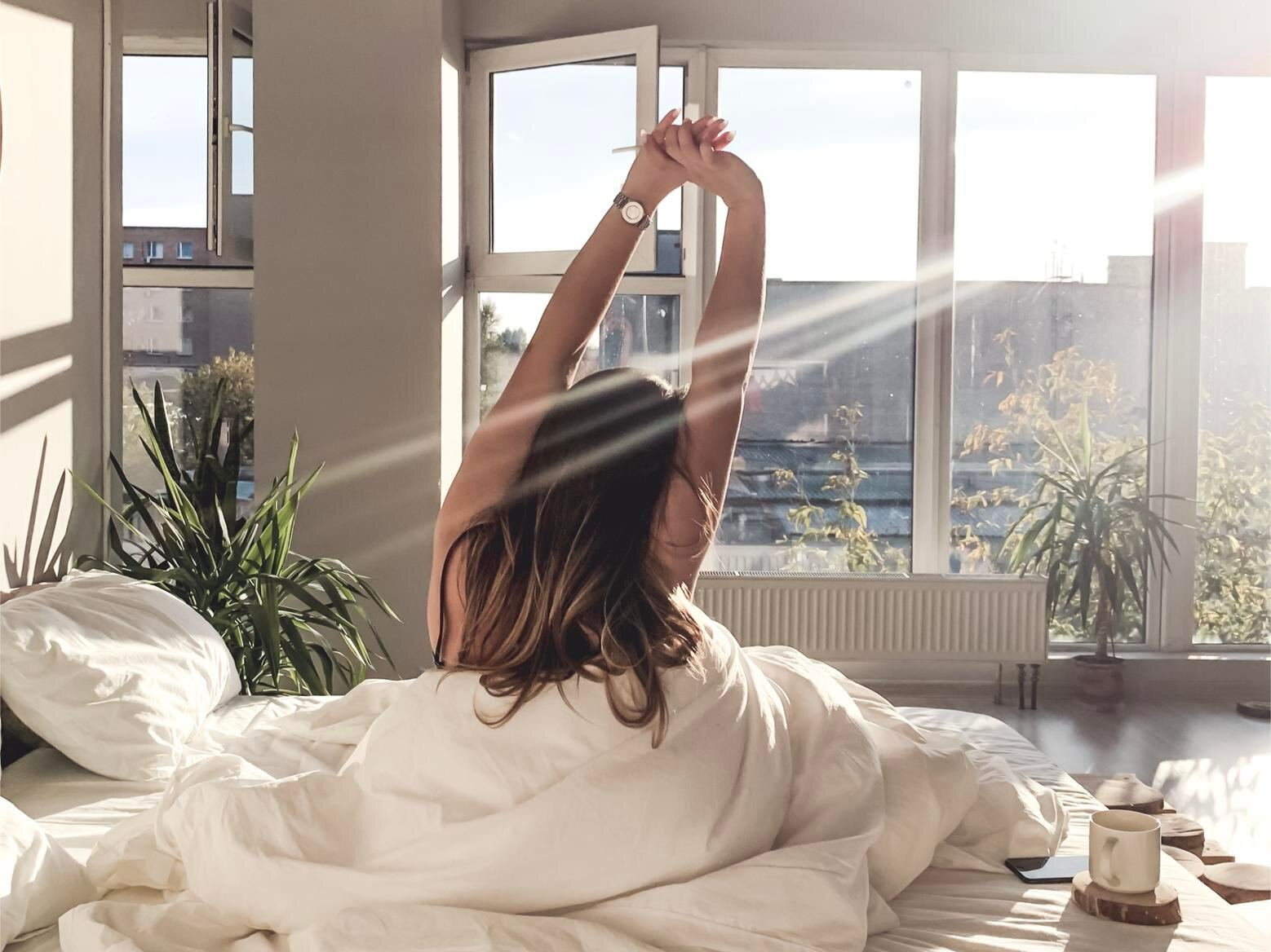 Cosy home with sunlight and plants