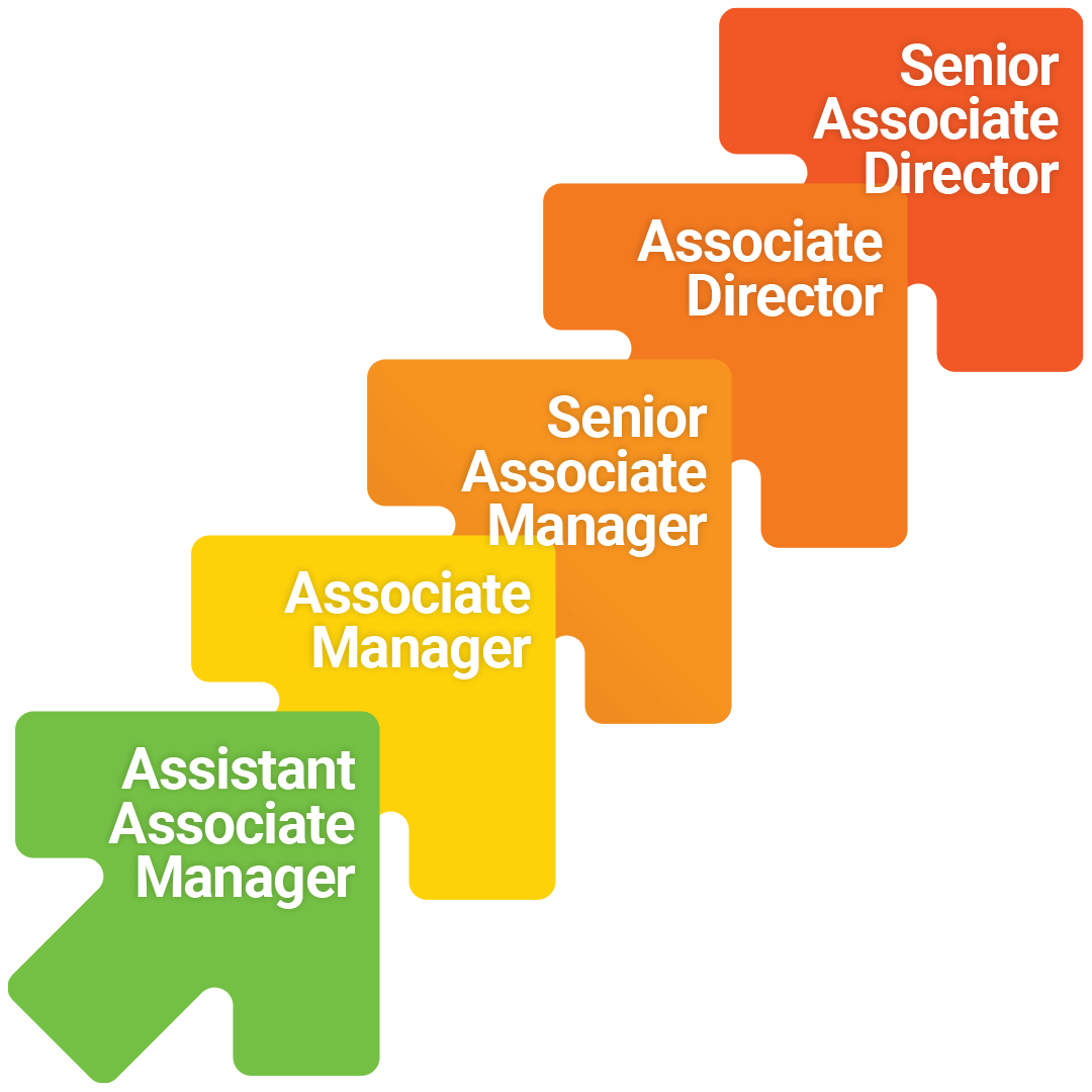 Career Progression Sales Path